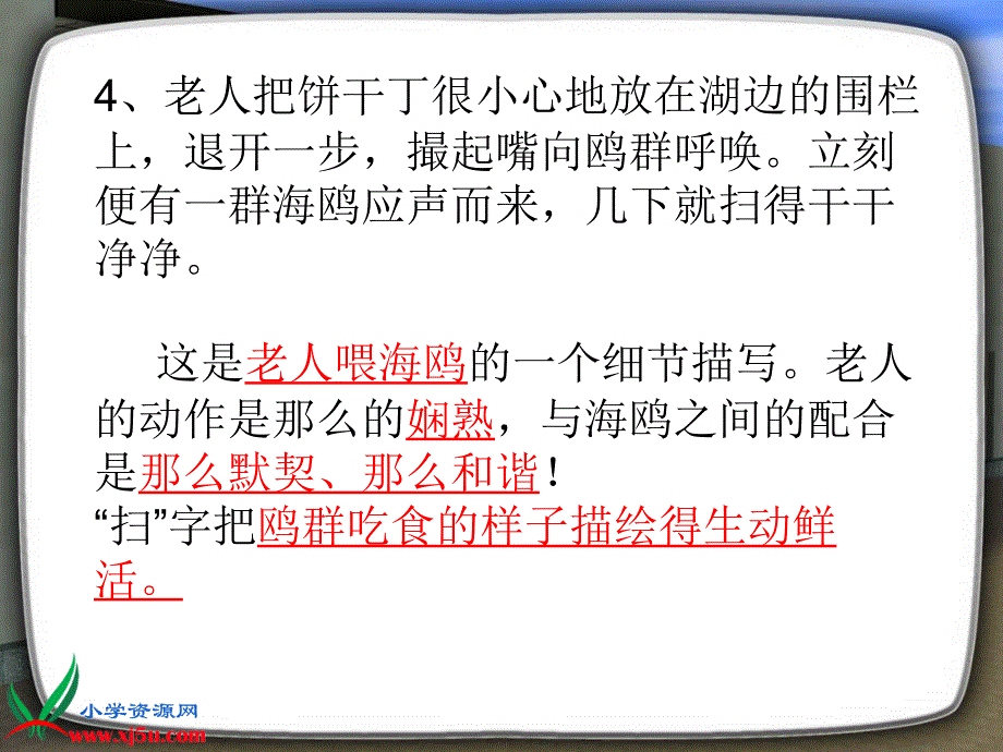 老人与海鸥复习课件_第4页