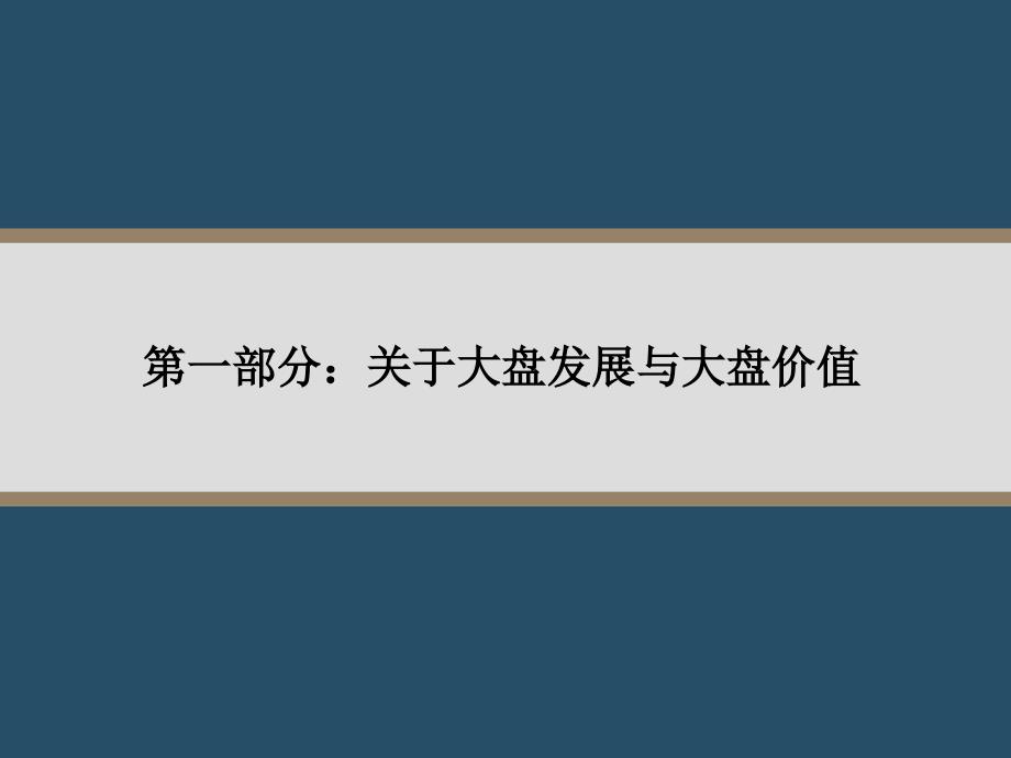 大盘发展与开发模式介绍PPT优秀课件_第4页