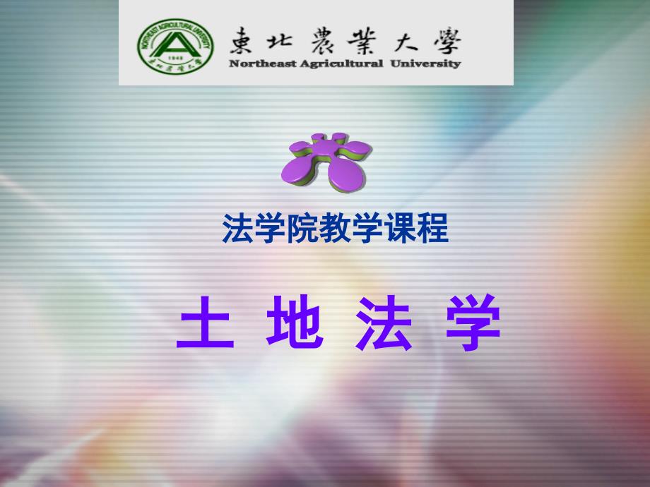 第二编土地使用权基本内容_第1页