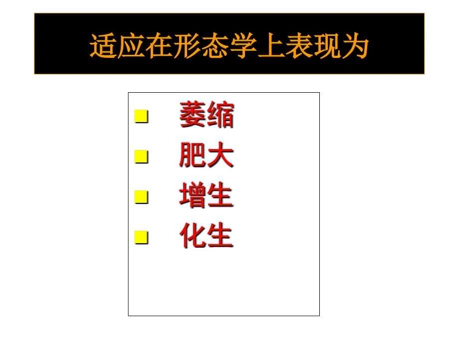 细胞和组织的损伤与修复(1435)PPT课件_第5页