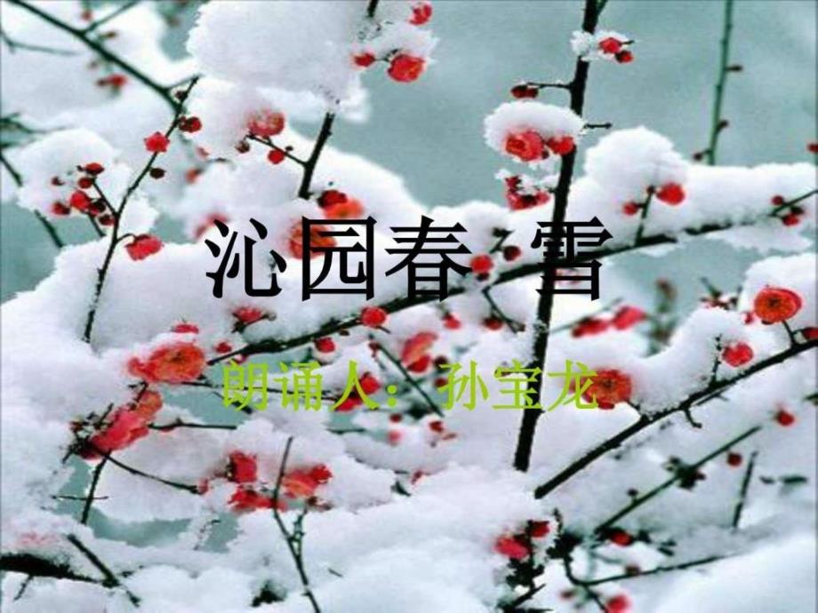 ...雪洪啸音乐教育工作站初一语文语文初中教..._第1页