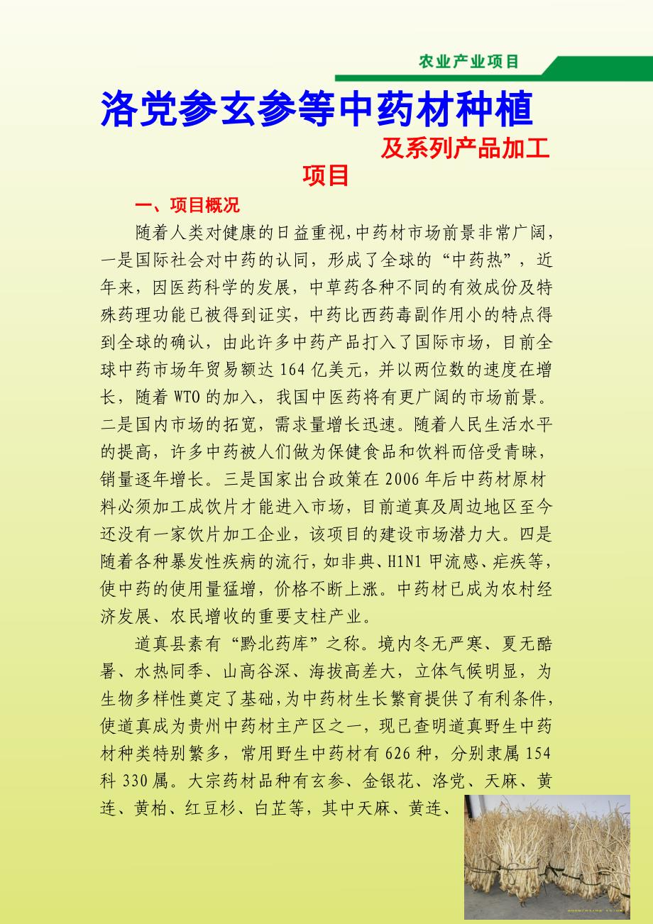 洛党参玄参等中药材种植_第1页