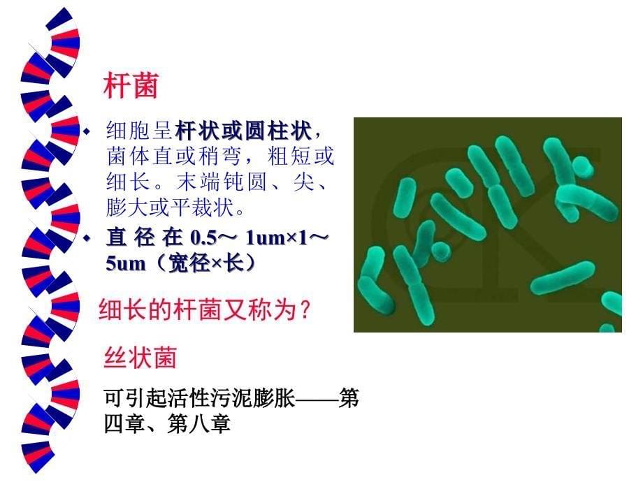 一章细菌的形态和结构精选文档_第5页