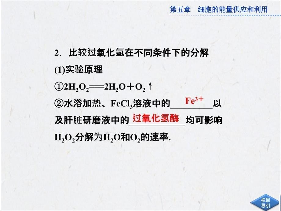 5[1]1降低化学反应活化能的酶课件（人教必修1）_第5页