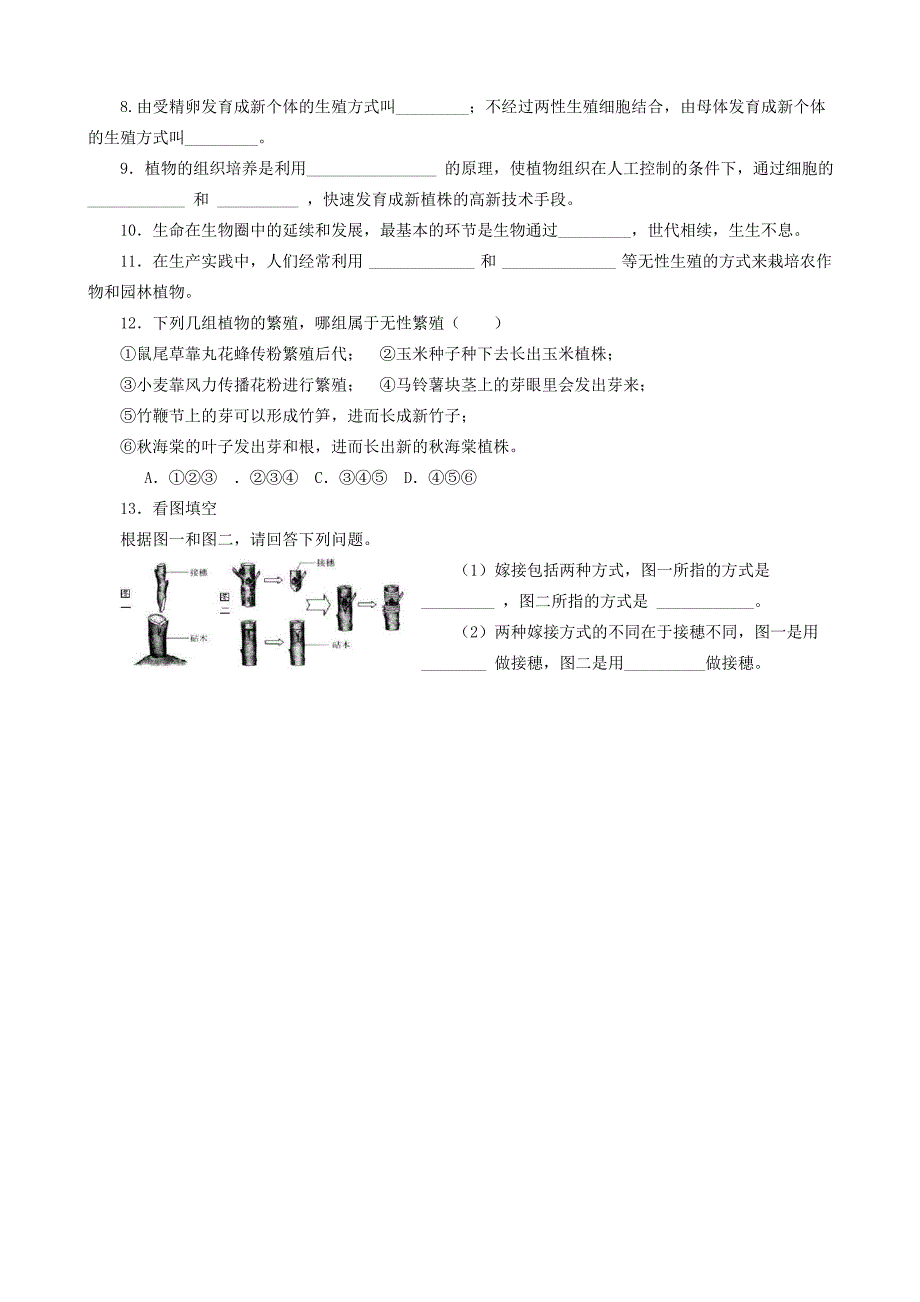 人教版八年级生物下册导学案全册_第4页