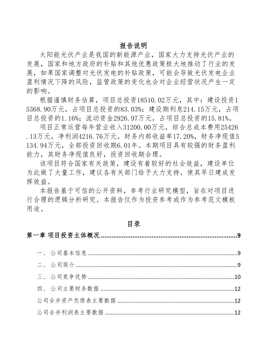 年产xxx套太阳能光伏电站项目融资计划书(DOC 91页)_第2页