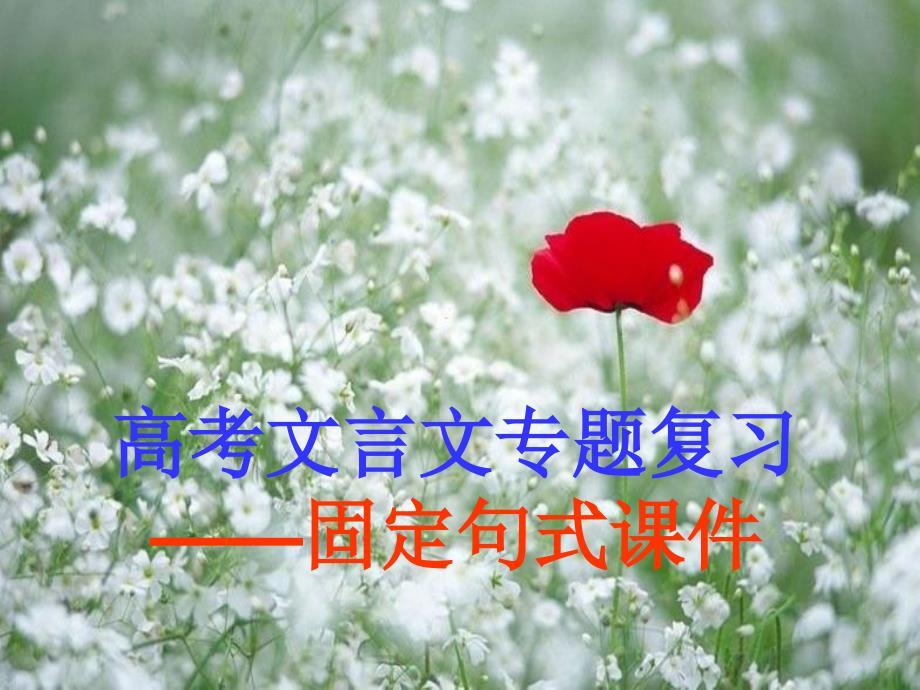 高考文言文专题复习-固定句式.ppt