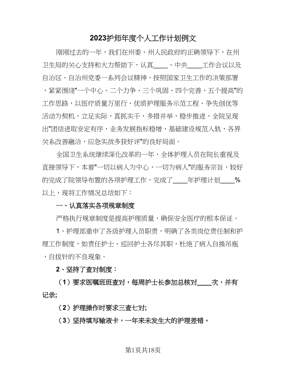 2023护师年度个人工作计划例文（5篇）_第1页