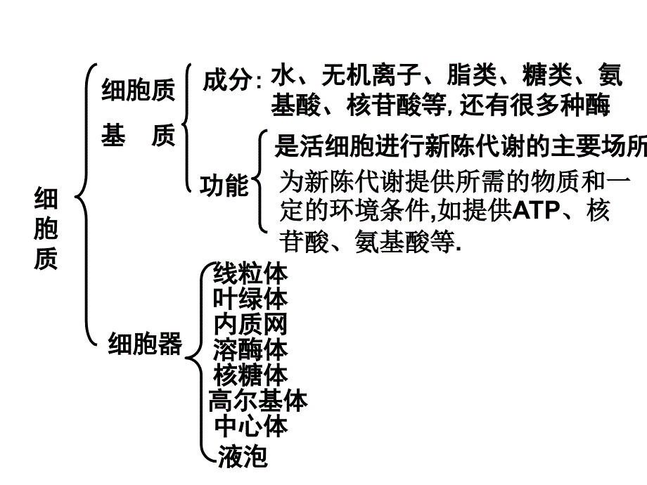 细胞器──系统内的分工合作_第2页