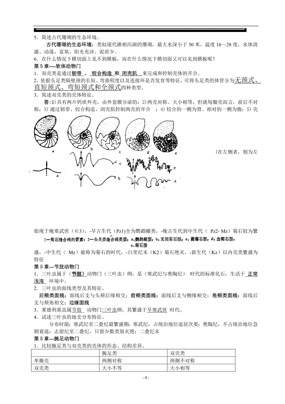 古生物地层学复习资料.doc_第4页