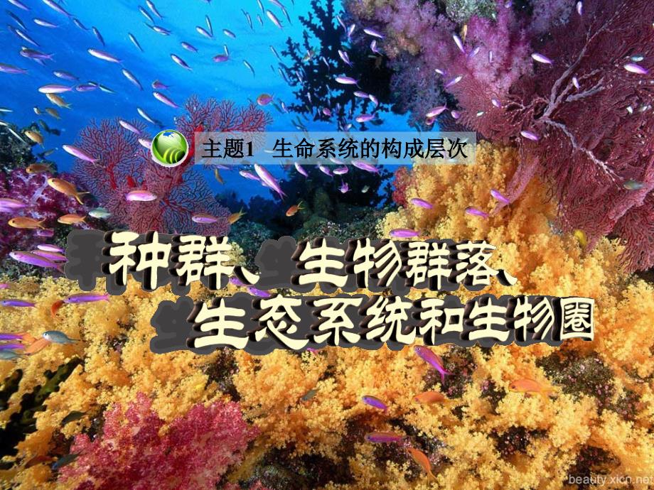 种群生物群落生态系统和生物圈课件_第1页