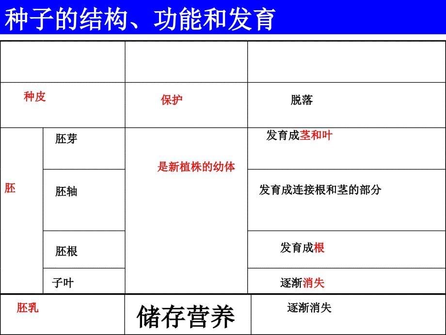 《种子的萌发》分析课件_第5页