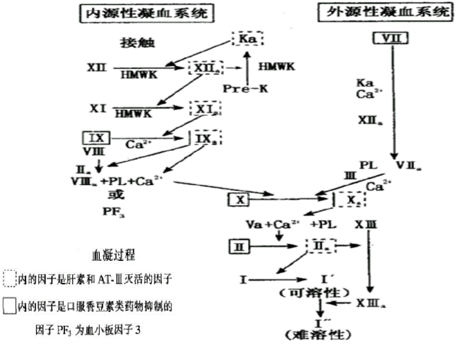 第3章作用于血液及造血系统的药物25ppt课件名师编辑PPT课件_第4页