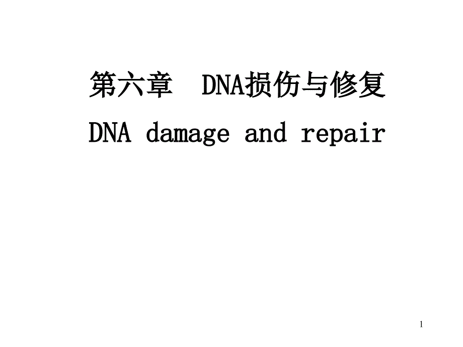 分子生物学：第六章DNA损伤与修复_第1页