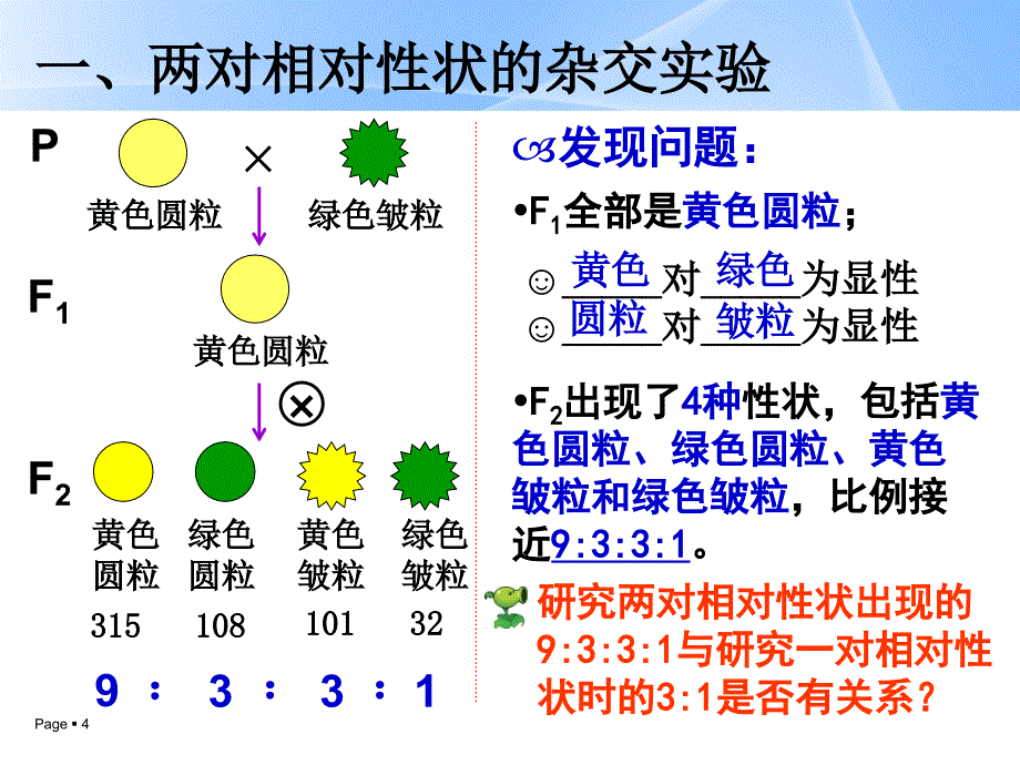 孟德尔豌豆杂交实验2_第4页