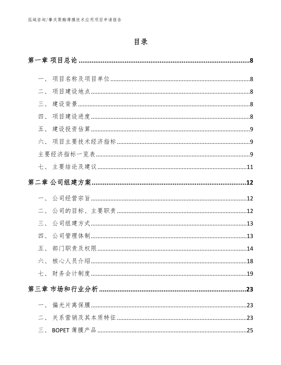 肇庆聚酯薄膜技术应用项目申请报告模板参考_第2页