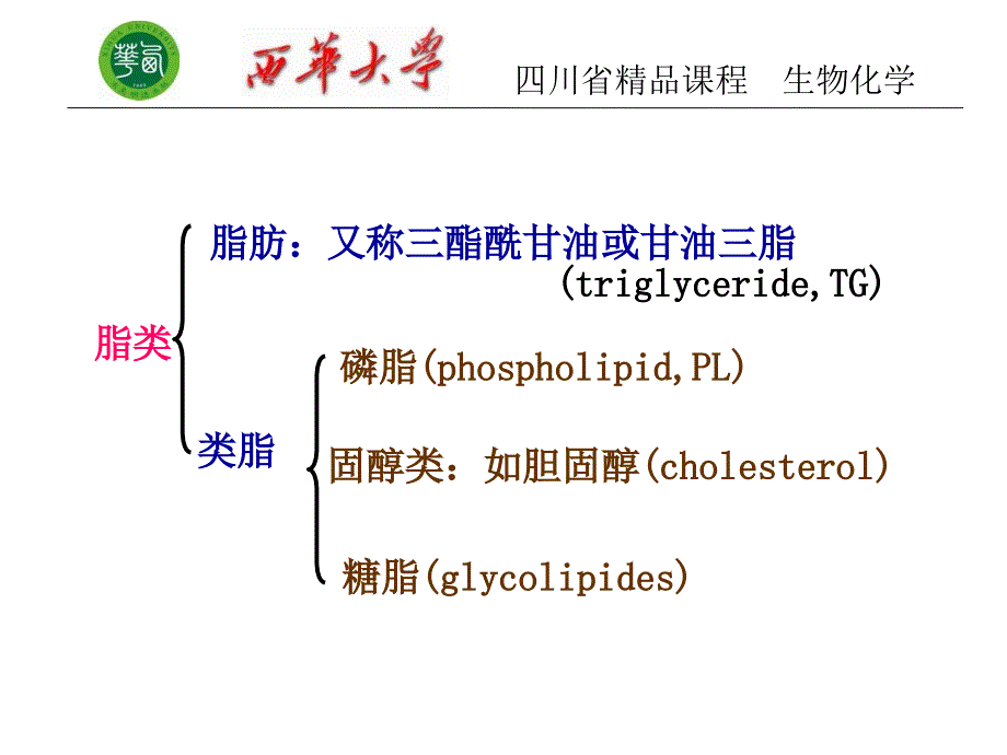 生物化学第十脂肪代谢课件_第3页