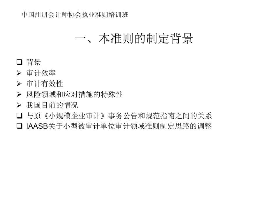 对小型被审计单位审计_第5页