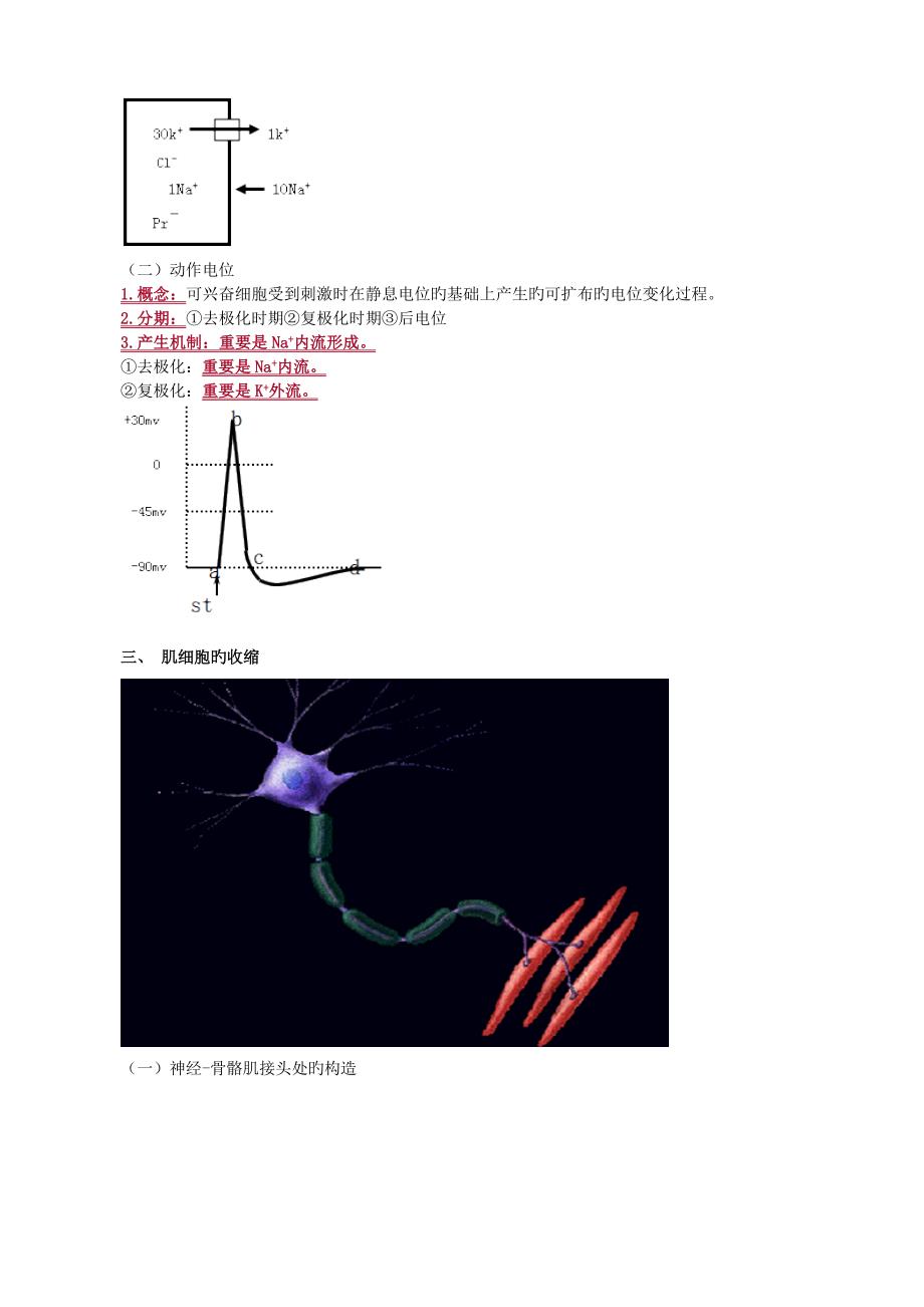 2023年生理学重点知识点归纳总结_第2页