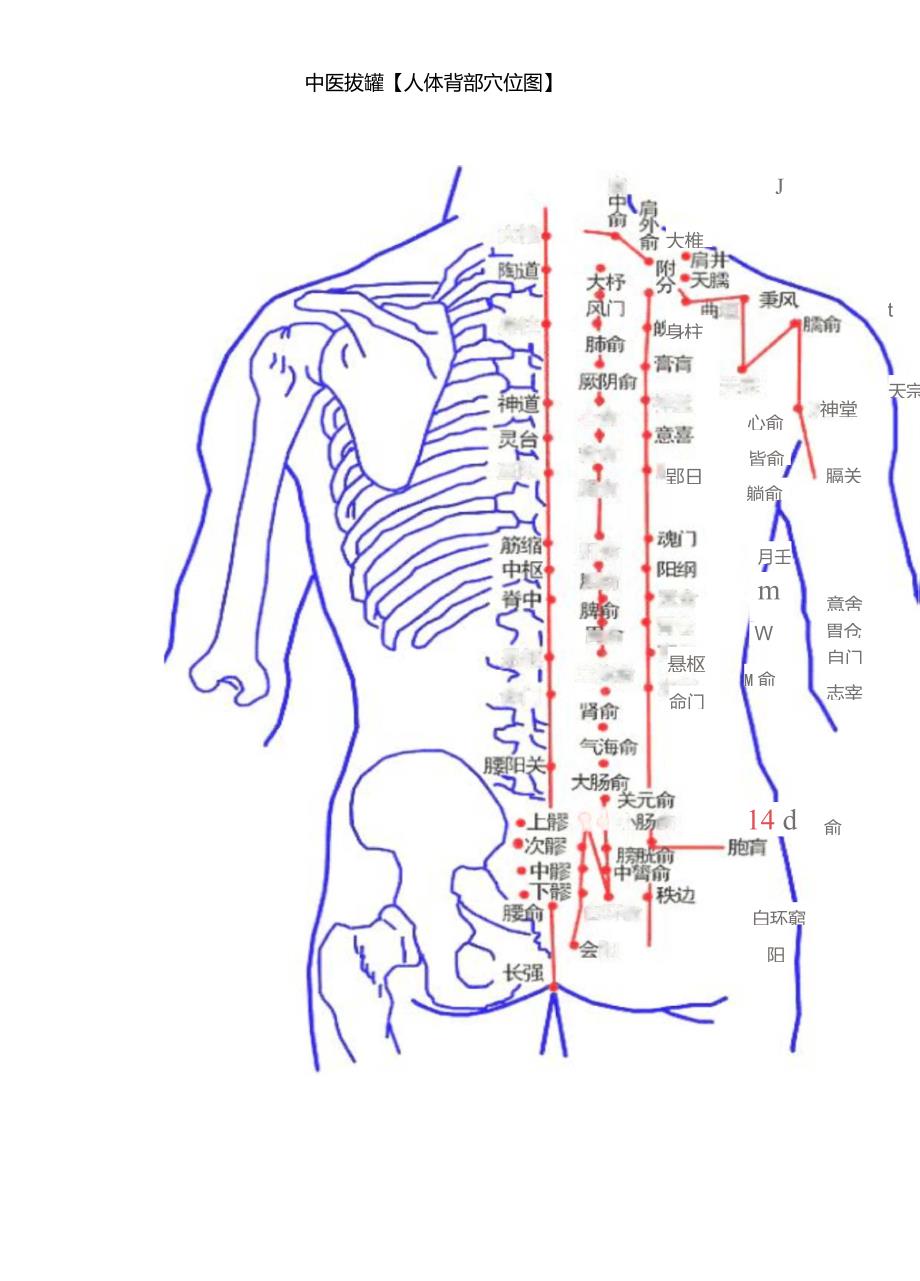 拔火罐_人体背部穴位图_中医疗法主病症和选穴_第1页