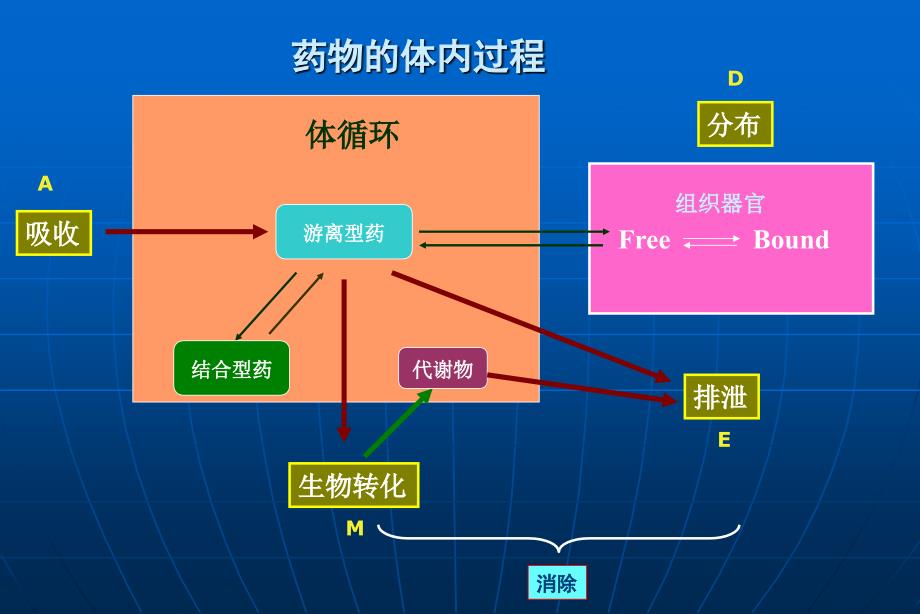 医学专题：药代动力学_第4页