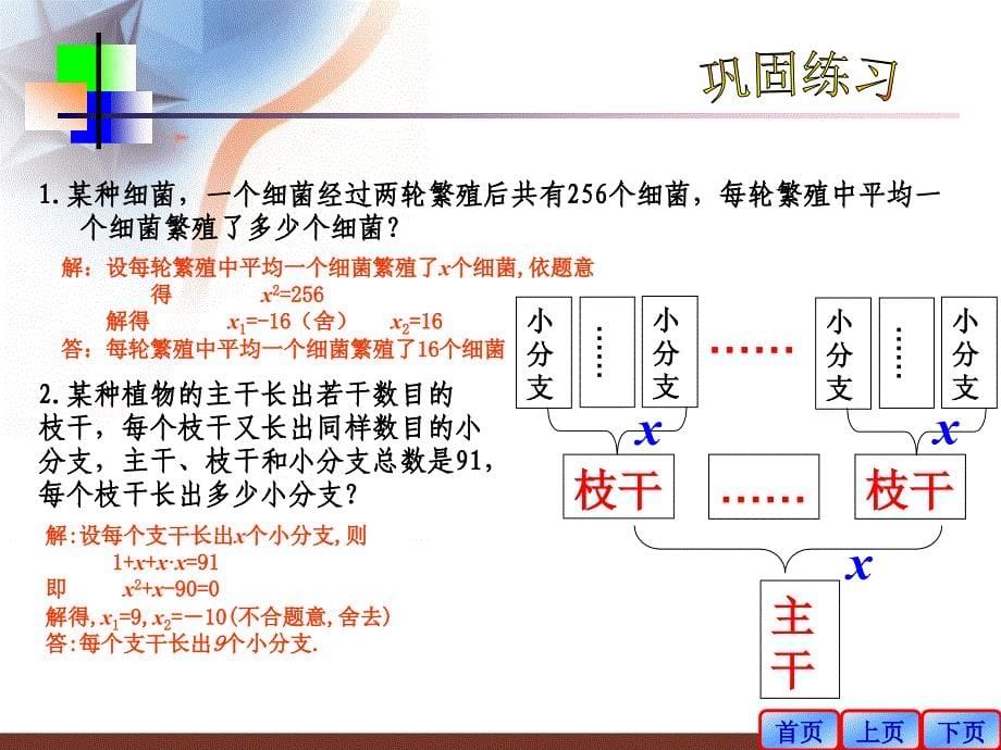 223实际问题与一元二次方程（第1课时）_第5页