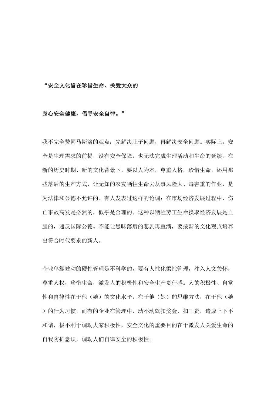 听徐德蜀先生侃安全文化(doc18)（天选打工人）.doc_第5页