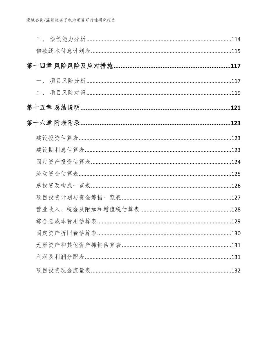 温州锂离子电池项目可行性研究报告范文参考_第5页