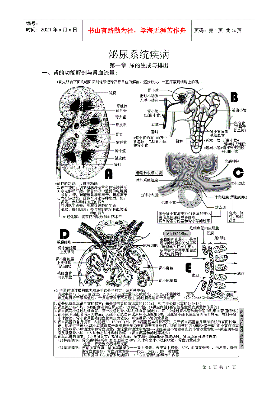 XXXX年西医综合&#183;泌尿系统疾病(生理+病理+内科+外科)_第1页