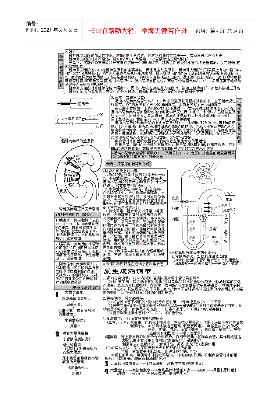 XXXX年西医综合&#183;泌尿系统疾病(生理+病理+内科+外科)_第4页