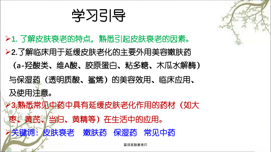 延缓皮肤衰老药课件_第2页