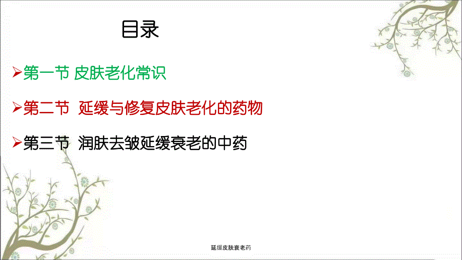 延缓皮肤衰老药课件_第3页