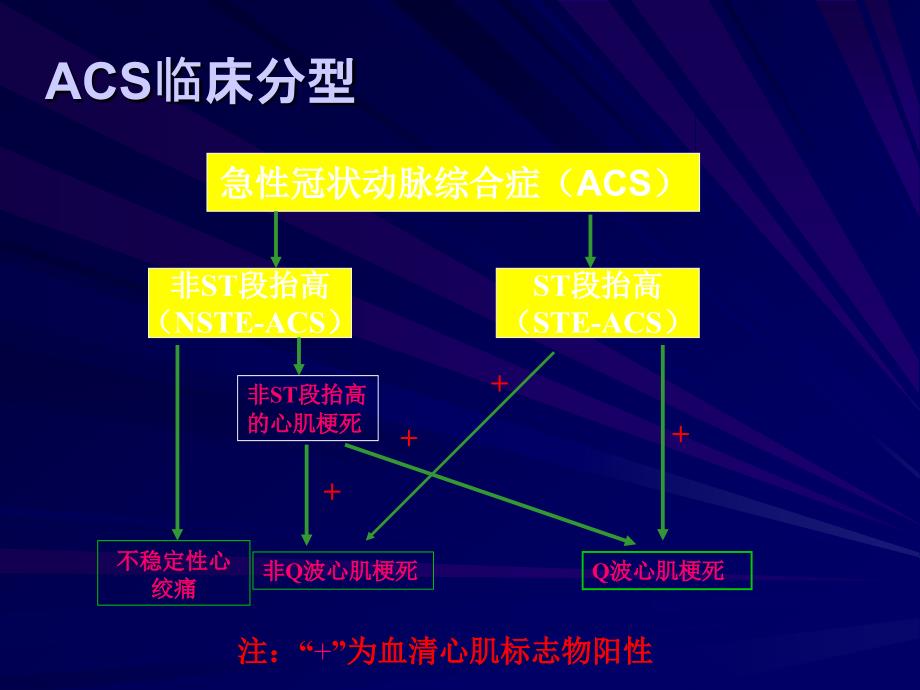 ESCNSTEMI指南_第3页