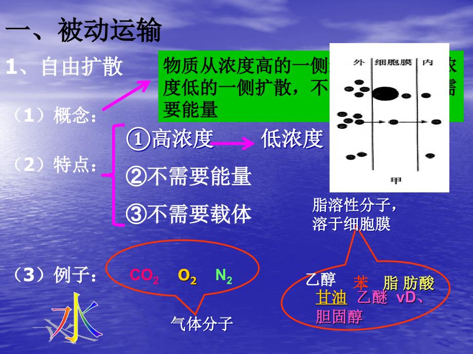 思考其他物质能否出入细胞呢_第4页