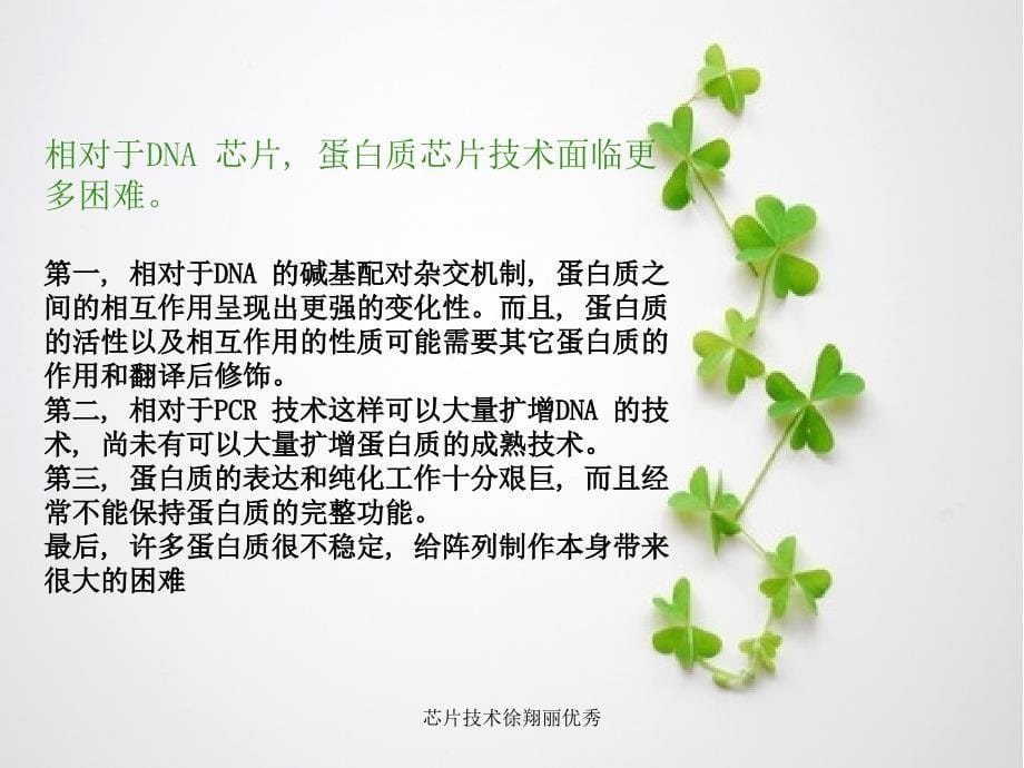 芯片技术徐翔丽课件_第5页