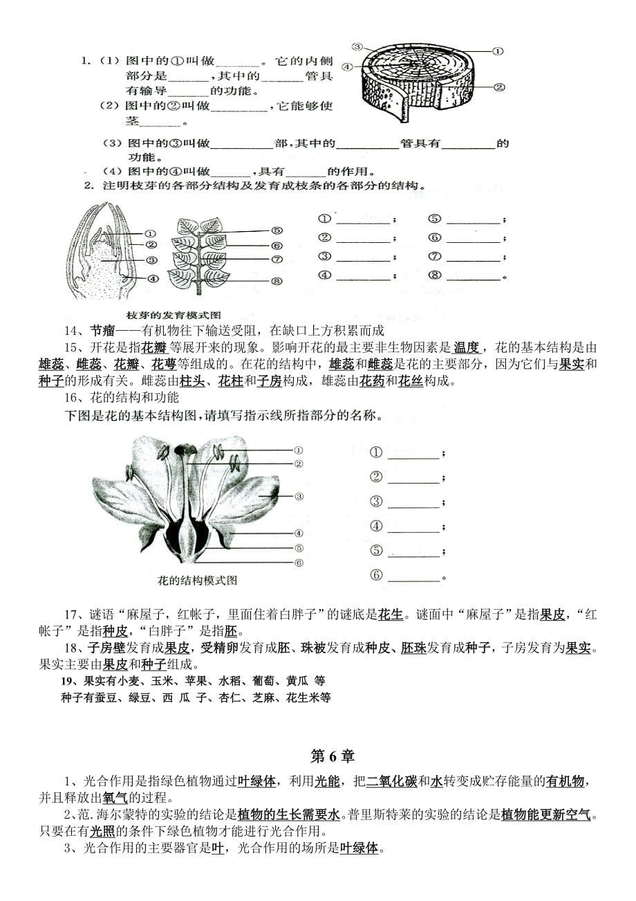 七年级生物上学期知识点总结_第5页