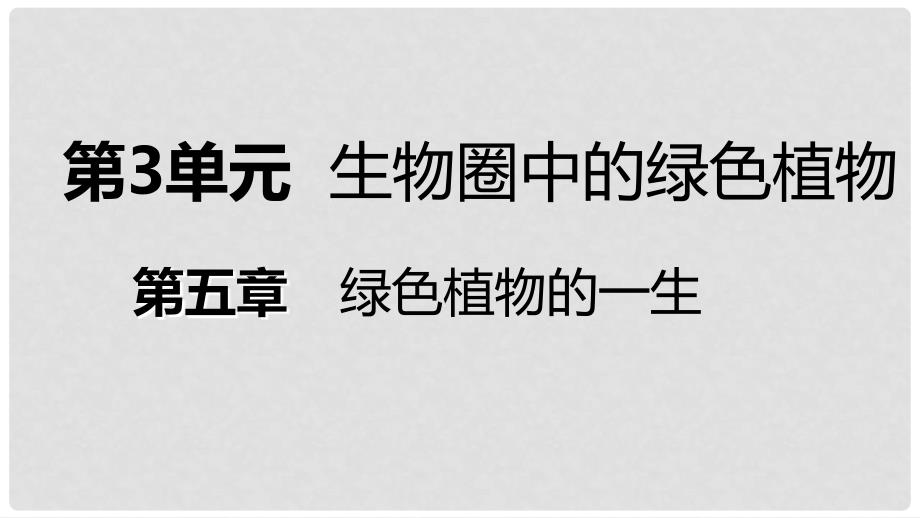 七年级生物上册 第三单元 第五章 第三节 植物生长需要水和无机盐课件 （新版）苏教版_第1页