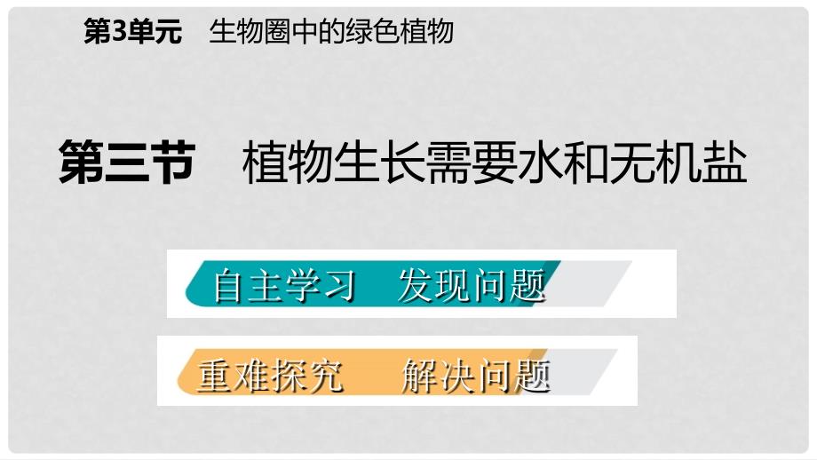 七年级生物上册 第三单元 第五章 第三节 植物生长需要水和无机盐课件 （新版）苏教版_第2页