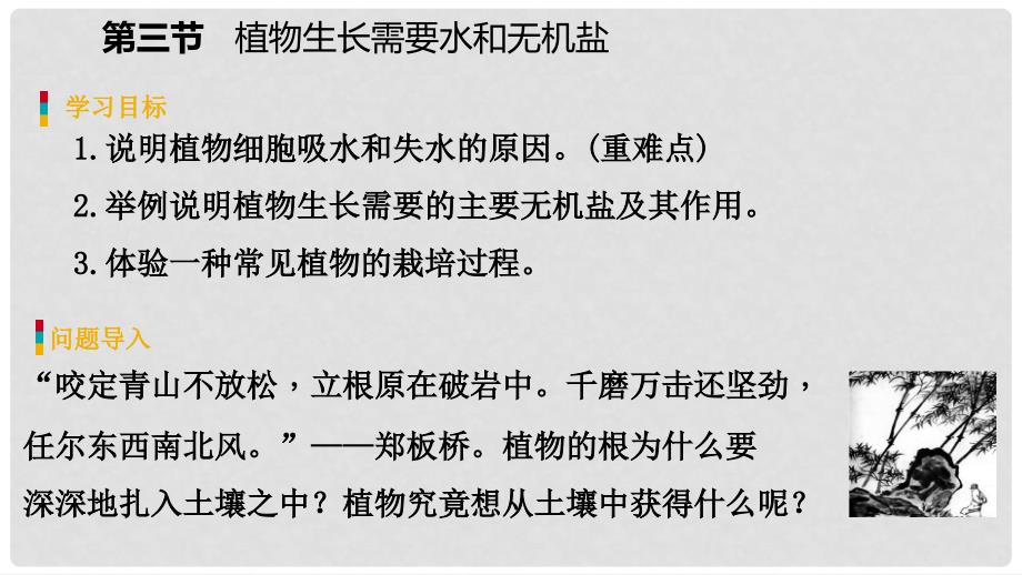 七年级生物上册 第三单元 第五章 第三节 植物生长需要水和无机盐课件 （新版）苏教版_第3页