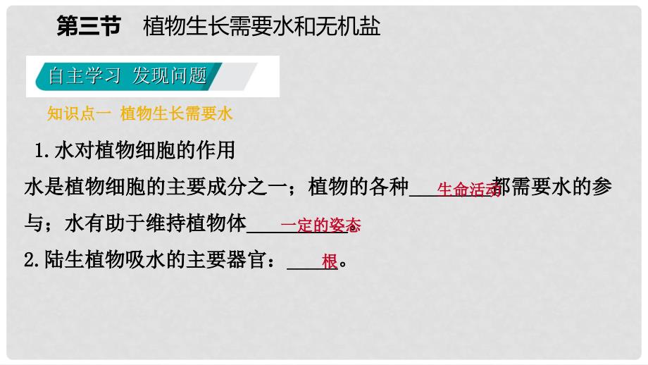 七年级生物上册 第三单元 第五章 第三节 植物生长需要水和无机盐课件 （新版）苏教版_第4页