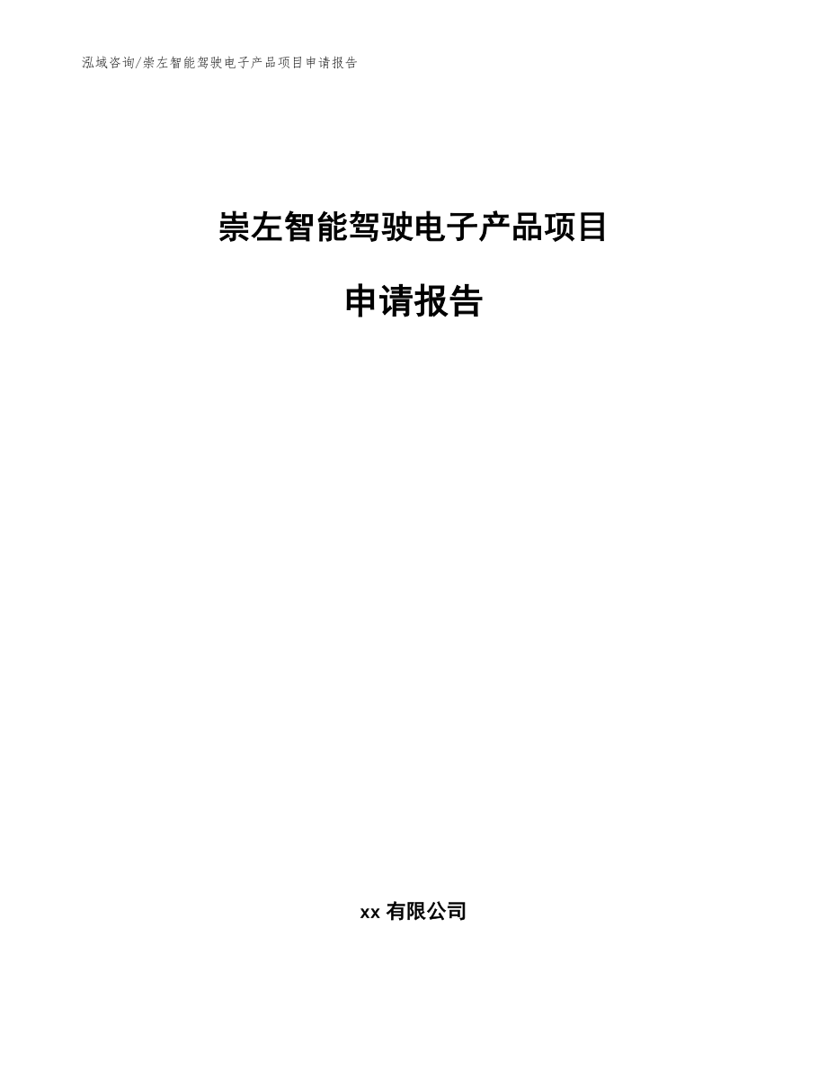 崇左智能驾驶电子产品项目申请报告_范文_第1页