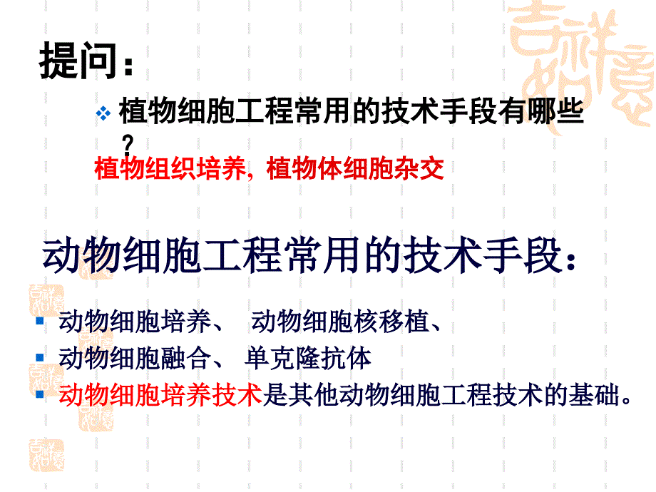 动物细胞工程常用的技术手段教学课件_第2页