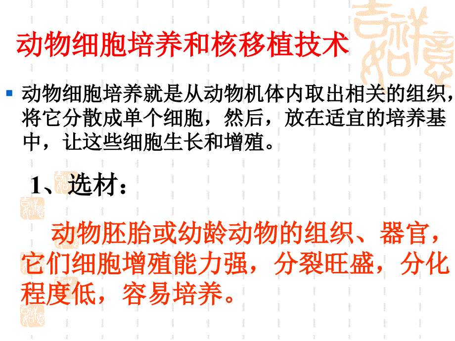 动物细胞工程常用的技术手段教学课件_第3页