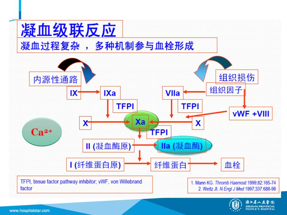 CRRT的抗凝治疗优选内容_第4页