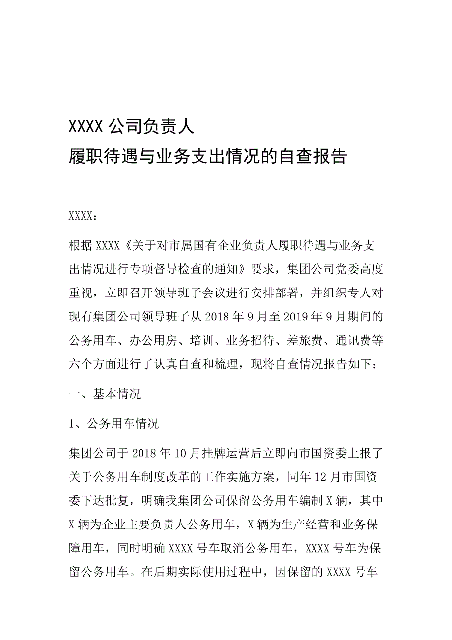 企业负责人履职待遇业务支出自查报告_第1页