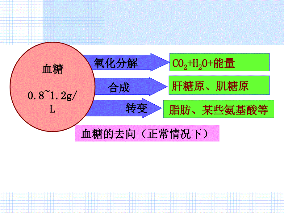 第二节通过激素的调节2使用_第4页