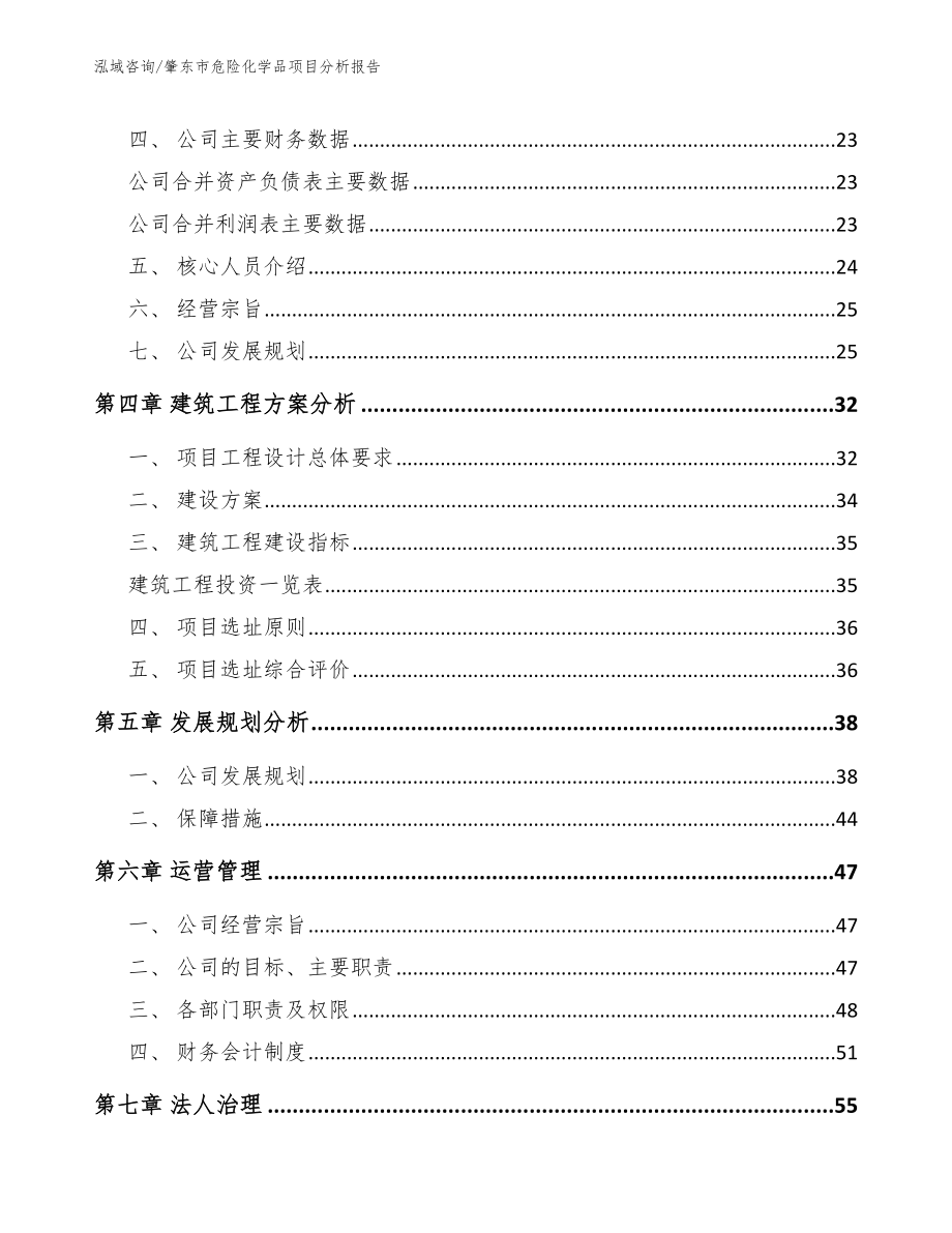 肇东市危险化学品项目分析报告_参考模板_第2页