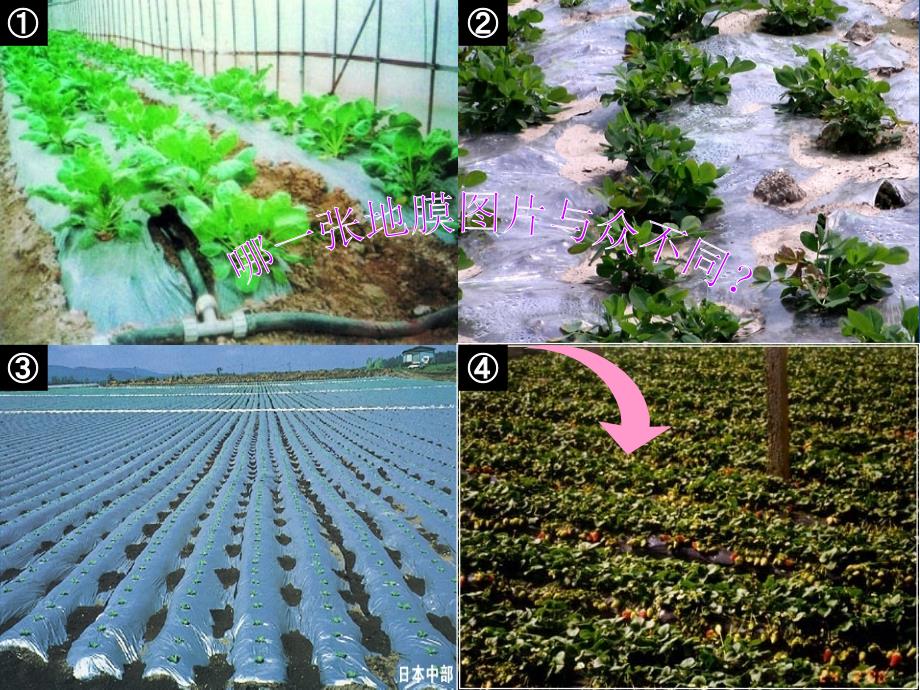 天然高分子材料液体地膜技术及其推广方案_第4页