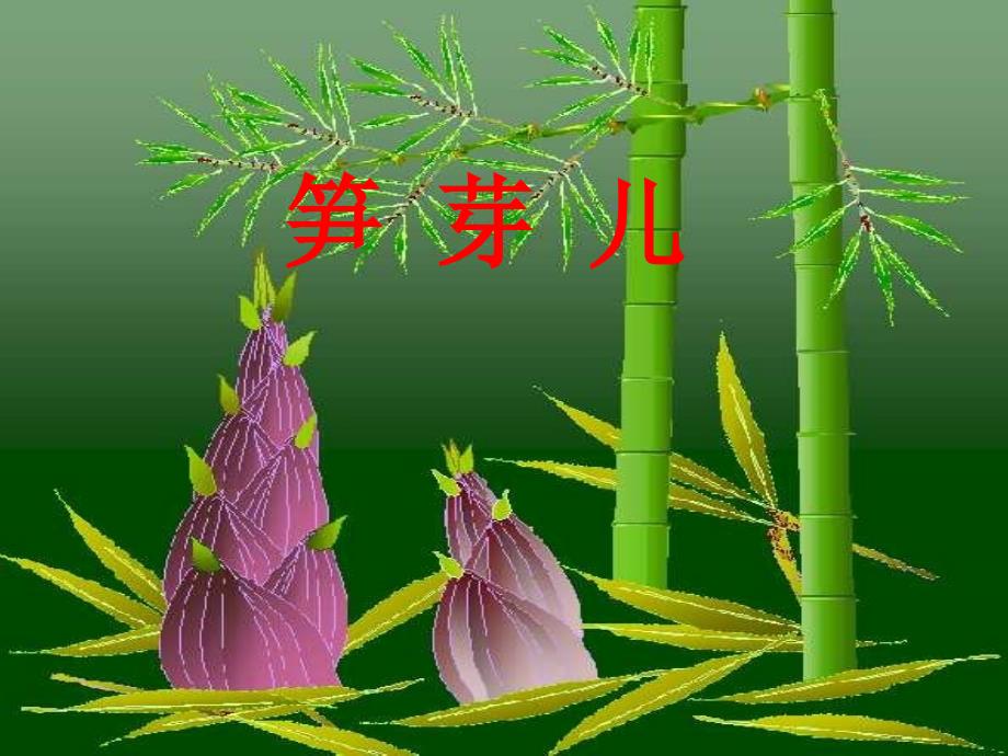 邓伟平笋芽儿课件_第1页