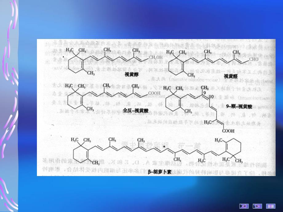 生物化学 第三章维生素和微量元素_第4页